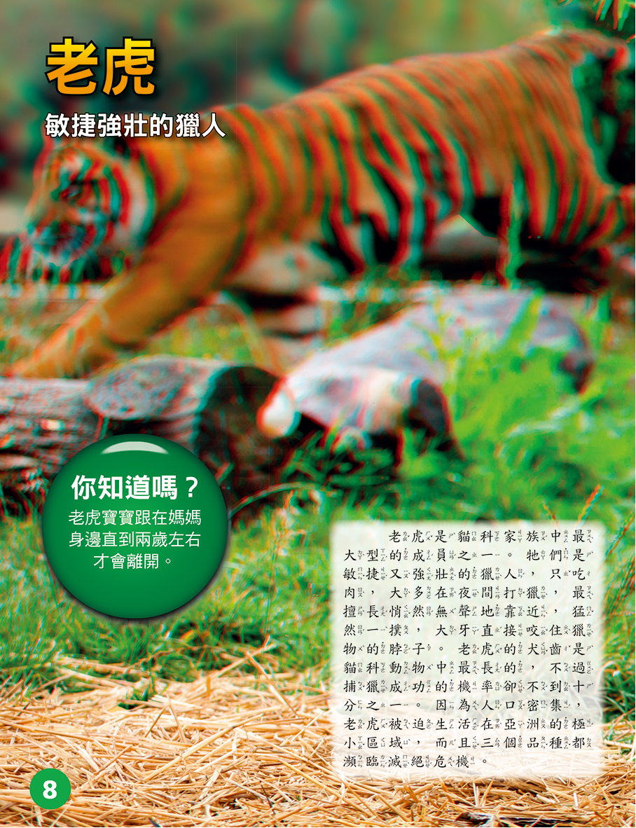 兇猛野性‧動物探險